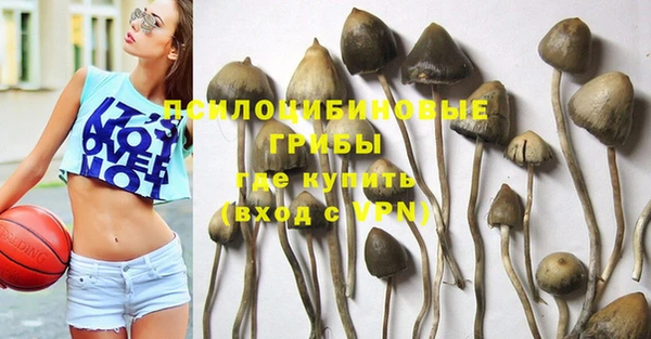 экстази Алексеевка