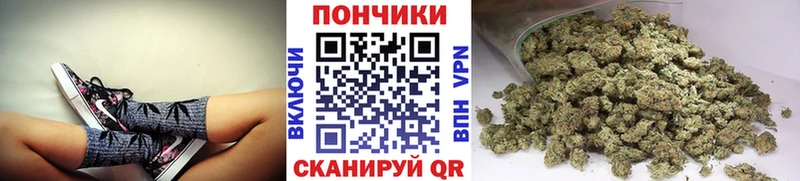 где продают наркотики  Пенза  Канабис ГИДРОПОН 